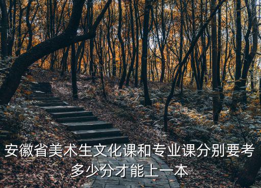 安徽省美術生文化課和專業課分別要考多少分才能上一本