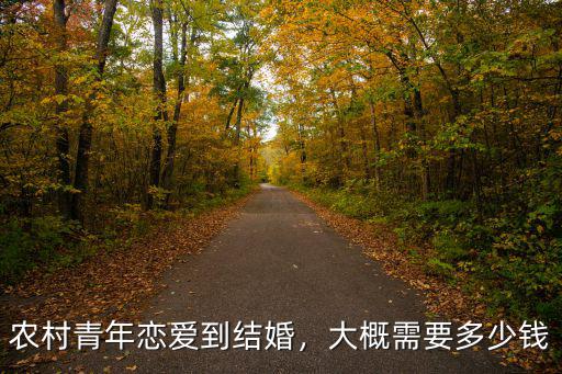農村青年戀愛到結婚，大概需要多少錢