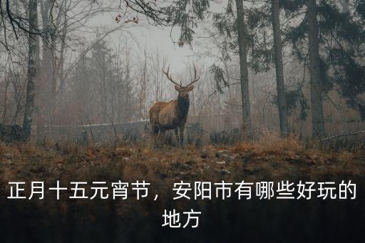 元宵節安陽市哪里有燈會,安陽市有哪些好玩的地方