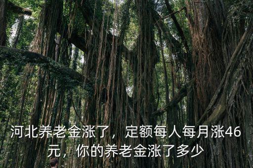 18年河北養老金漲多少錢,河北養老金上調多少
