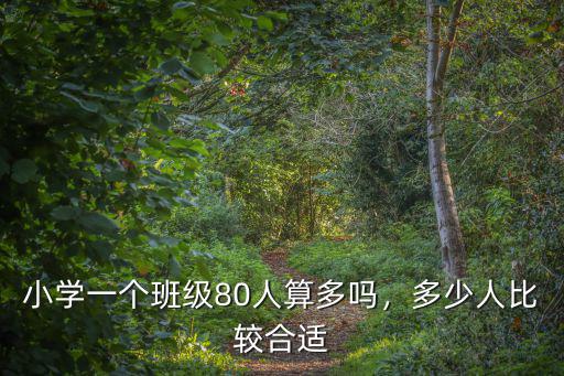 小學一個班級80人算多嗎，多少人比較合適