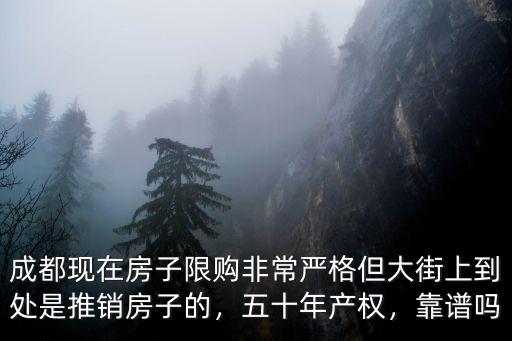 成都現在房子限購非常嚴格但大街上到處是推銷房子的，五十年產權，靠譜嗎