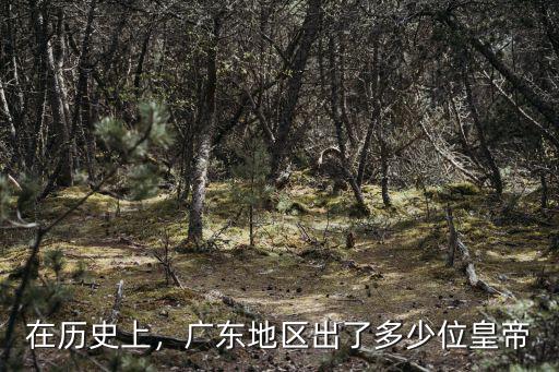 在歷史上，廣東地區出了多少位皇帝