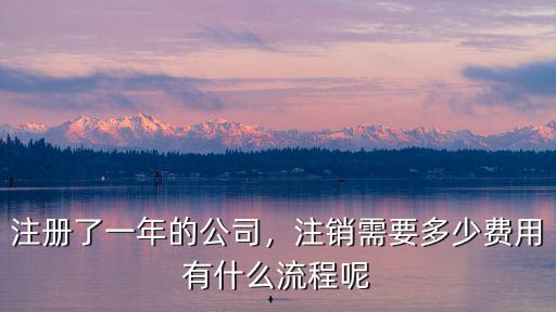 蕪湖公司注銷的費用是多少,注銷需要多少費用