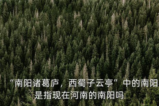“南陽諸葛廬，西蜀子云亭”中的南陽是指現(xiàn)在河南的南陽嗎