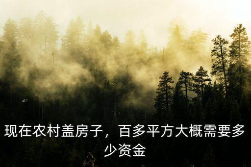 衡水農村蓋房子要多少錢,現在農村蓋房子