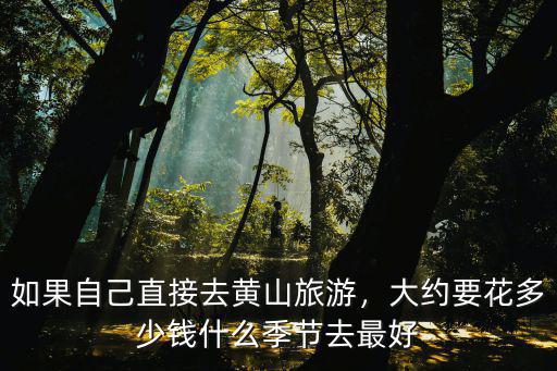 自己去黃山要花費(fèi)多少錢(qián),一家六口去黃山要多少錢(qián)