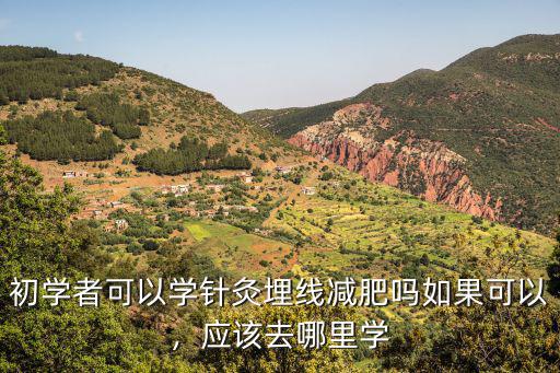 初學者可以學針灸埋線減肥嗎如果可以，應該去哪里學