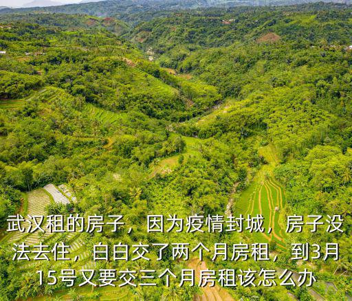 武漢租的房子，因為疫情封城，房子沒法去住，白白交了兩個月房租，到3月15號又要交三個月房租該怎么辦