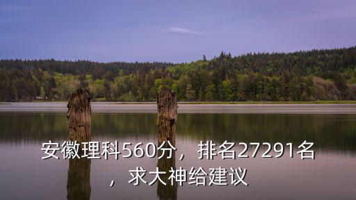 安徽理科560分，排名27291名，求大神給建議
