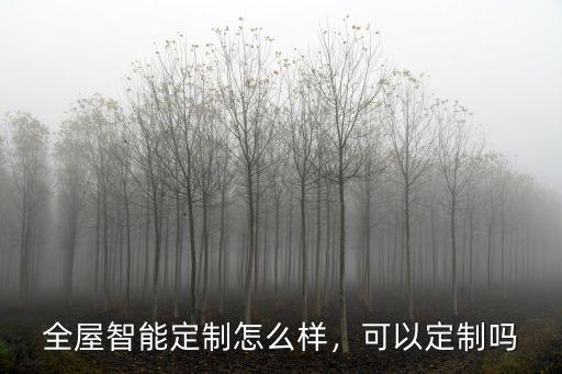 全屋智能定制怎么樣，可以定制嗎
