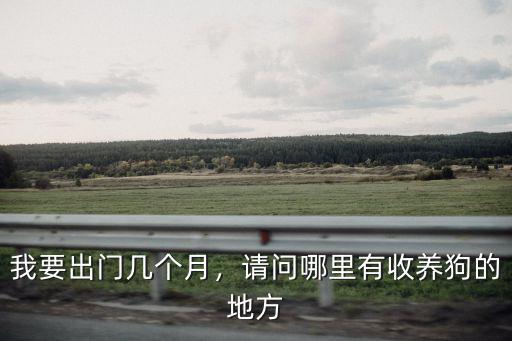 自貢哪里有收養狗狗的地方,請問哪里有收養狗的地方