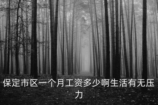 保定市區一個月工資多少啊生活有無壓力