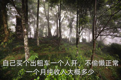 自己買個出租車一個人開，不偷懶正常一個月純收入大概多少