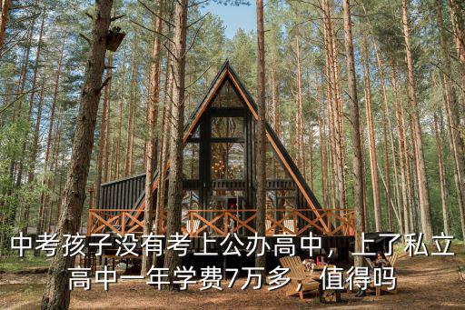 安徽南陵私立高中一年學(xué)費(fèi)多少錢,上了私立高中一年學(xué)費(fèi)7萬多