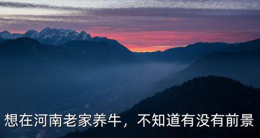 河南民權(quán)哪里有養(yǎng)牛的,河南平原地帶養(yǎng)牛有利潤嗎