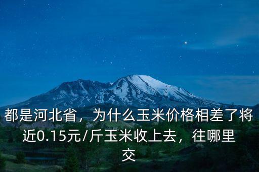 河北省安國玉米價格是多少,你們那的價格是多少