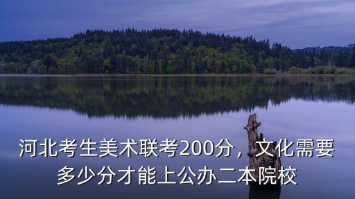 河北省美術聯(lián)考多少分才能上本科,河北美術聯(lián)考249分