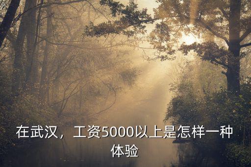 在武漢，工資5000以上是怎樣一種體驗