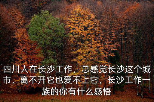 四川人在長沙哪里買房好,四川人在長沙工作