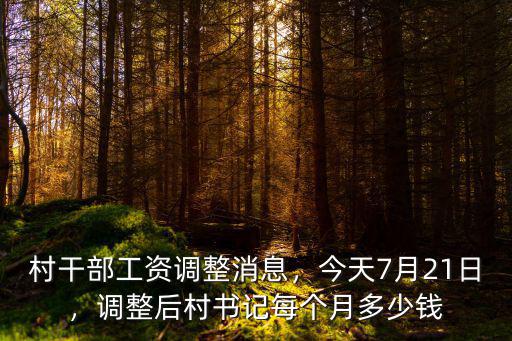 邯鄲村支書工資多少,村干部工資調整消息