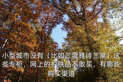 小型城市沒有（比如蘭蔻雅詩蘭黛）這些專柜，網上的護膚品不敢買，有哪些購買渠道