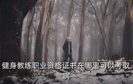 成都健身行業(yè)在哪里考證,健身教練考證機(jī)構(gòu)哪里的不錯(cuò)
