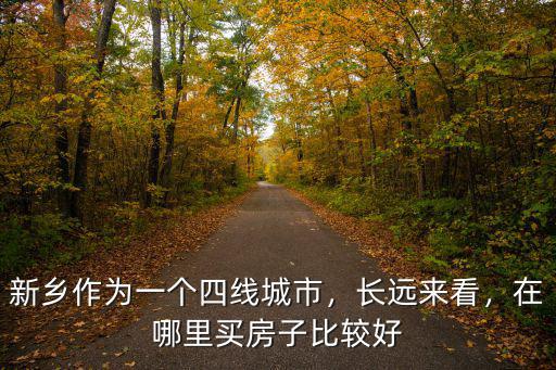 新鄉作為一個四線城市，長遠來看，在哪里買房子比較好