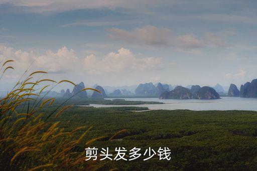 張家口剪頭多少錢,剪頭發多少錢
