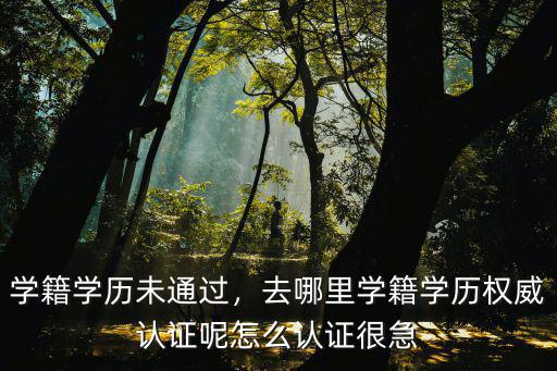 荊州學歷怎么認證,去哪里學籍學歷權威認證呢