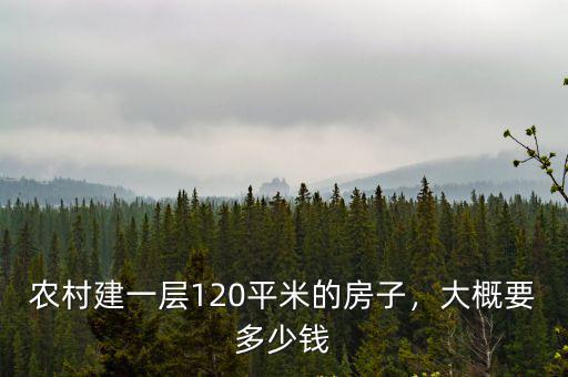 安徽農(nóng)村蓋房子一層多少錢一平方,大概要多少錢