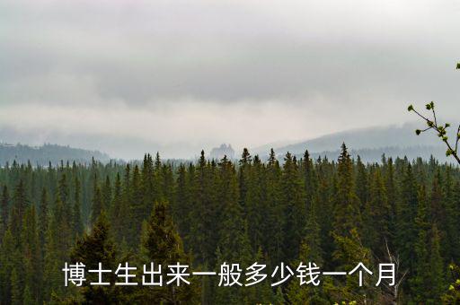 博士生出來一般多少錢一個月