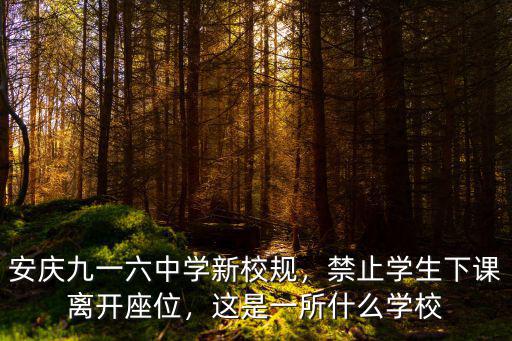 安慶916中學高一學費多少,安慶196中學怎么樣