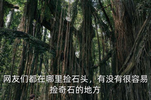 成都新津哪里撿石頭,網(wǎng)友們都在哪里撿石頭