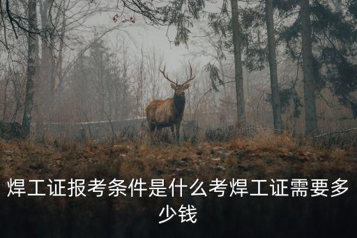 廊坊高級(jí)焊工證快速考證多少錢(qián),考焊工證需要多少錢(qián)