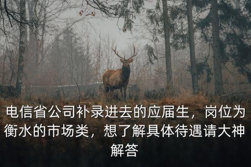 電信省公司補錄進去的應屆生，崗位為衡水的市場類，想了解具體待遇請大神解答