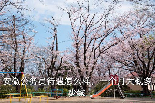 安徽的鎮長多少錢一個月,一個月大概多少錢