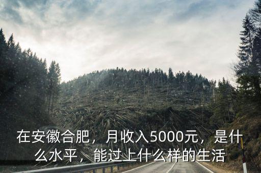 在安徽合肥，月收入5000元，是什么水平，能過上什么樣的生活