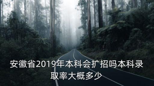 安徽每年有多少人考不上本科,本科錄取率大概多少