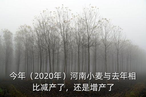 河南小麥小滿倒伏了能減產多少,河南小麥與去年相比減產了