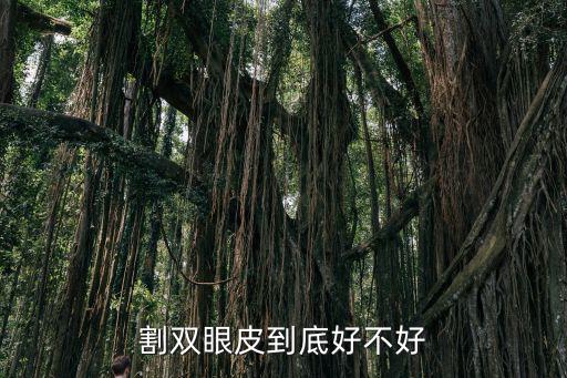 合肥藝星割雙眼皮多少錢,做雙眼皮多少錢