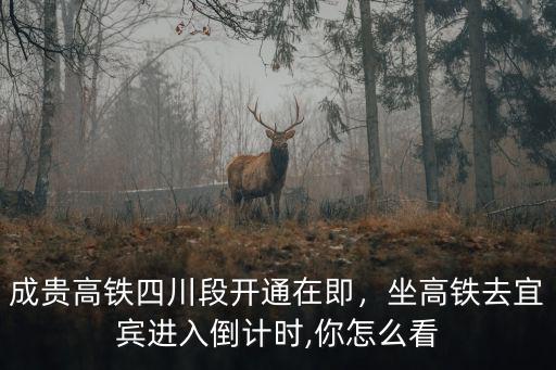 宜賓高鐵從哪里進,成貴高鐵已經經過宜賓