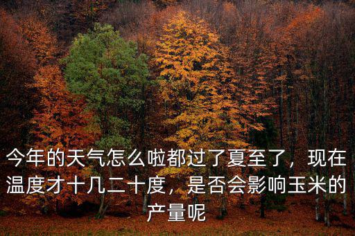 今年的天氣怎么啦都過了夏至了，現在溫度才十幾二十度，是否會影響玉米的產量呢