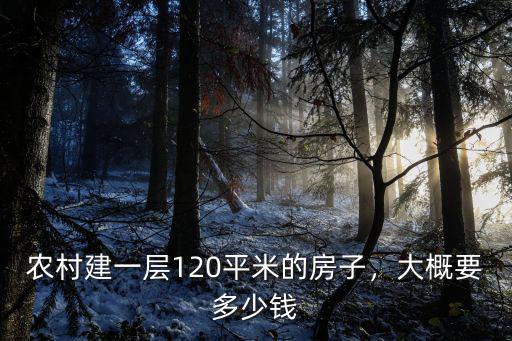 滄州農村自建平房多少錢,大概要多少錢