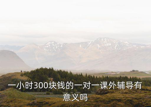 一小時300塊錢的一對一課外輔導有意義嗎