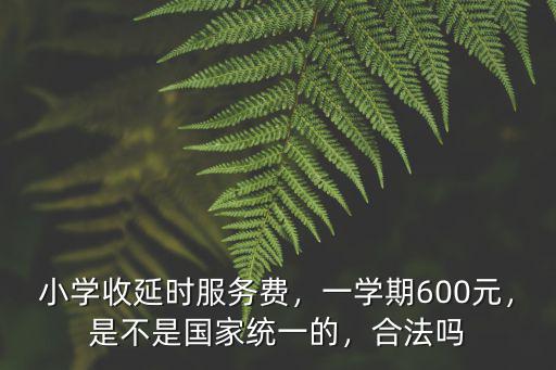 河北課后延時(shí)服務(wù)費(fèi)多少,小學(xué)收延時(shí)服務(wù)費(fèi)