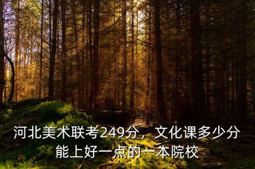 河北美術聯(lián)考249分，文化課多少分能上好一點的一本院校