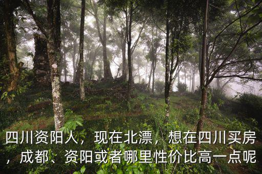 資陽哪里房價最貴,四川資陽房價還會漲么