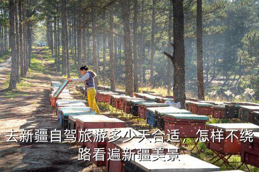 去新疆自駕旅游多少天合適，怎樣不繞路看遍新疆美景