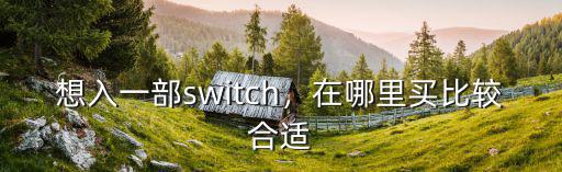 新鄉哪里可以買switch,在哪里買比較合適